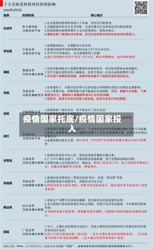 疫情国家托底/疫情国家投入