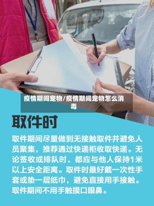 疫情期间宠物/疫情期间宠物怎么消毒