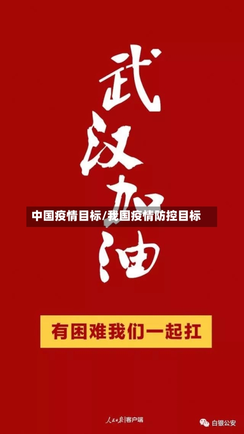 中国疫情目标/我国疫情防控目标