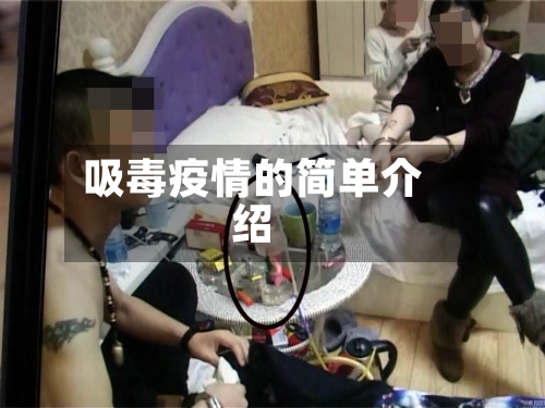 吸毒疫情的简单介绍