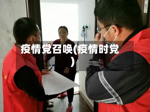 疫情党召唤(疫情时党)-第2张图片