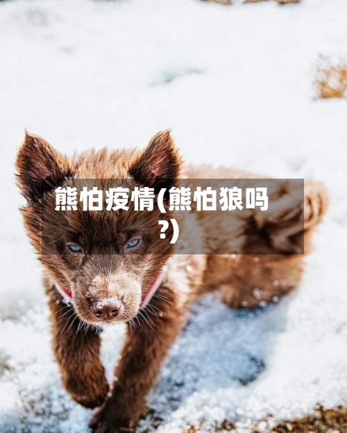 熊怕疫情(熊怕狼吗?)