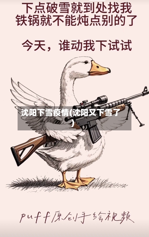 沈阳下雪疫情(沈阳又下雪了)