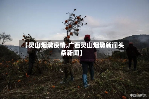【灵山烟墩疫情,广西灵山烟墩新闻头条新闻】