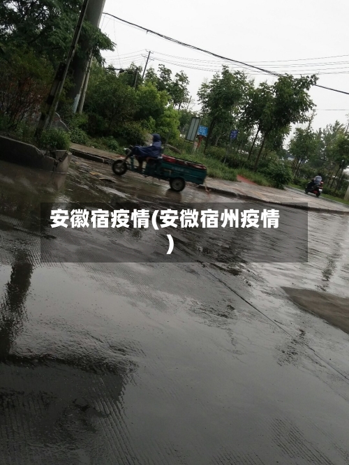 安徽宿疫情(安微宿州疫情)