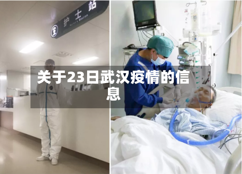 关于23日武汉疫情的信息-第2张图片