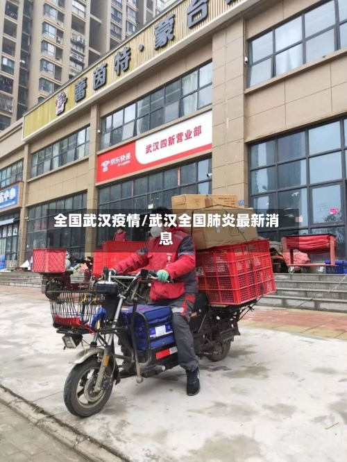 全国武汉疫情/武汉全国肺炎最新消息