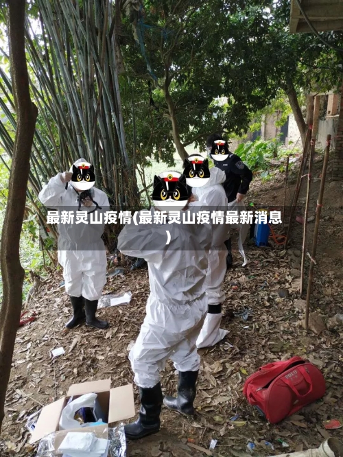 最新灵山疫情(最新灵山疫情最新消息)-第2张图片