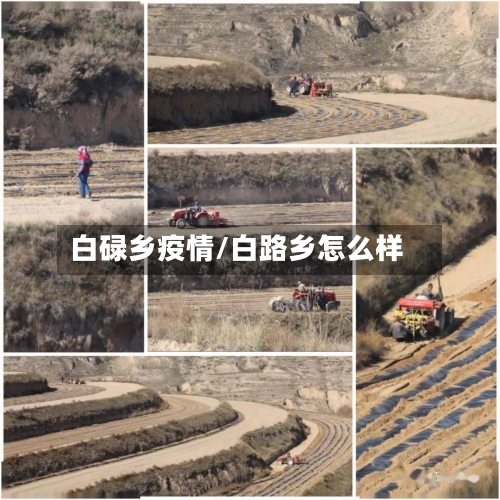 白碌乡疫情/白路乡怎么样