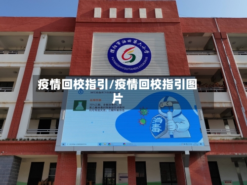 疫情回校指引/疫情回校指引图片