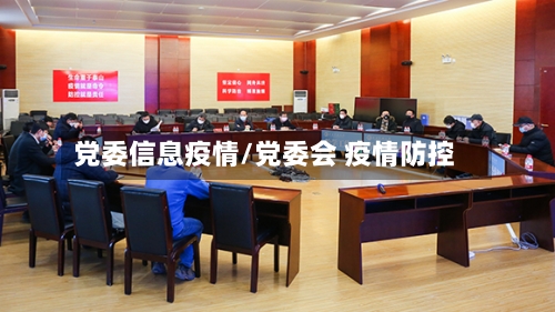 党委信息疫情/党委会 疫情防控-第3张图片