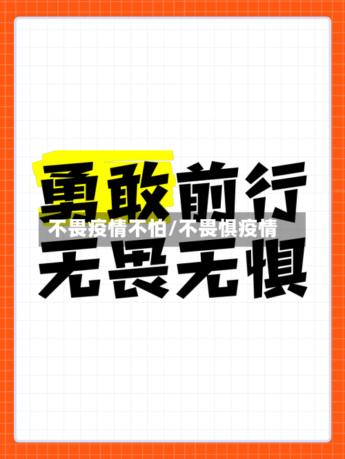 不畏疫情不怕/不畏惧疫情-第3张图片