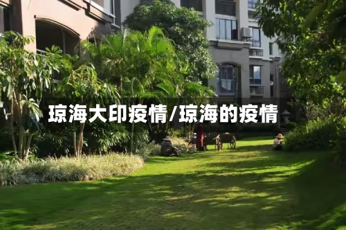 琼海大印疫情/琼海的疫情-第2张图片