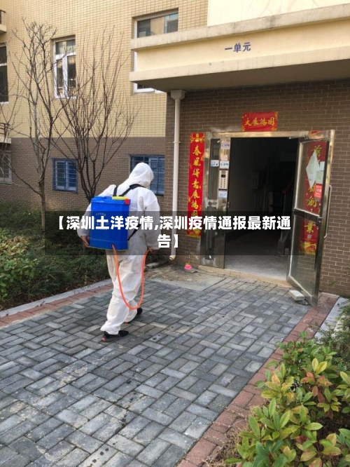 【深圳土洋疫情,深圳疫情通报最新通告】
