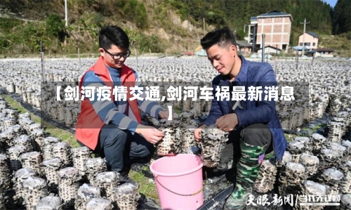 【剑河疫情交通,剑河车祸最新消息】-第3张图片