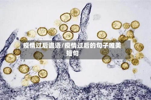疫情过后谵语/疫情过后的句子唯美短句-第3张图片