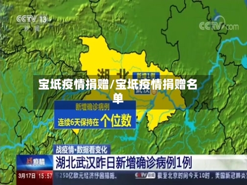 宝坻疫情捐赠/宝坻疫情捐赠名单
