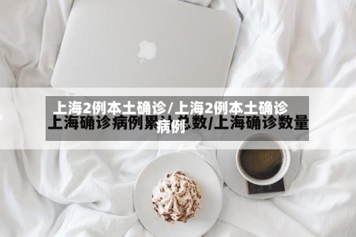 上海2例本土确诊/上海2例本土确诊病例-第2张图片