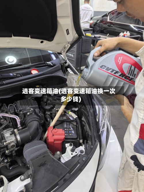 逍客变速箱油(逍客变速箱油换一次多少钱)-第2张图片