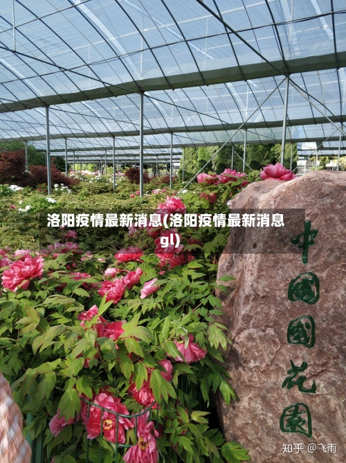 洛阳疫情最新消息(洛阳疫情最新消息gl)
