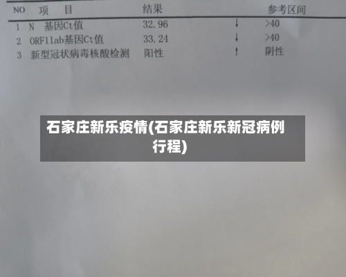 石家庄新乐疫情(石家庄新乐新冠病例行程)
