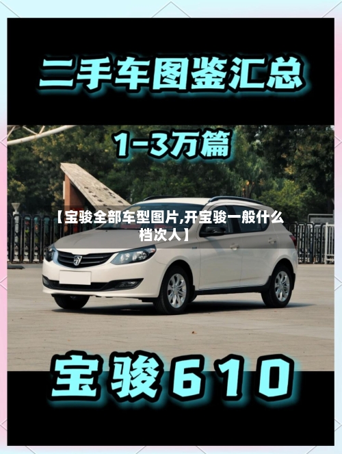 【宝骏全部车型图片,开宝骏一般什么档次人】
