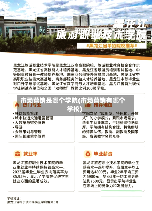 市场营销是哪个学院(市场营销有哪个学校)
