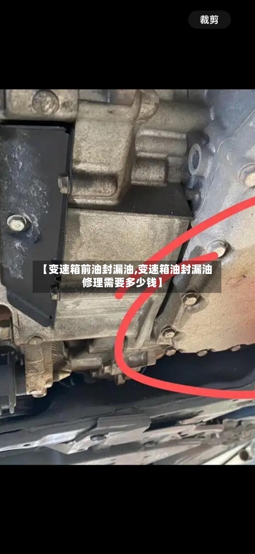 【变速箱前油封漏油,变速箱油封漏油修理需要多少钱】-第3张图片