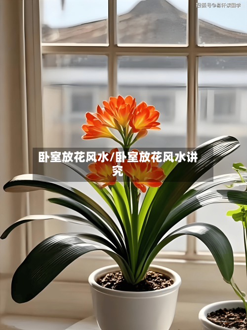 卧室放花风水/卧室放花风水讲究-第1张图片