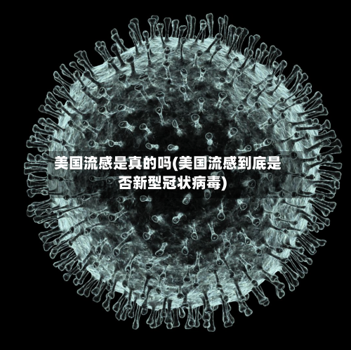 美国流感是真的吗(美国流感到底是否新型冠状病毒)-第2张图片