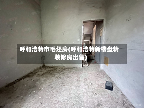 呼和浩特市毛坯房(呼和浩特新楼盘精装修房出售)