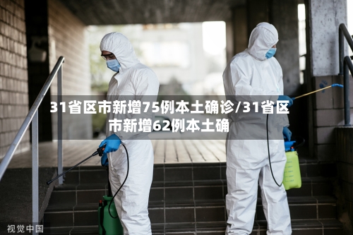 31省区市新增75例本土确诊/31省区市新增62例本土确-第2张图片