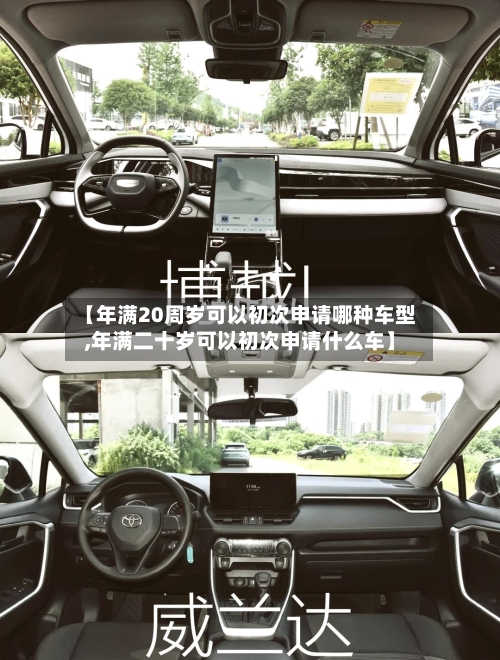 【年满20周岁可以初次申请哪种车型,年满二十岁可以初次申请什么车】-第2张图片