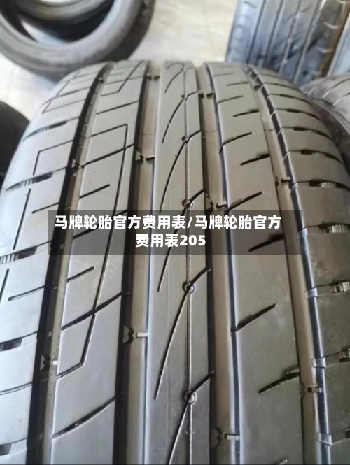 马牌轮胎官方费用表/马牌轮胎官方费用表205