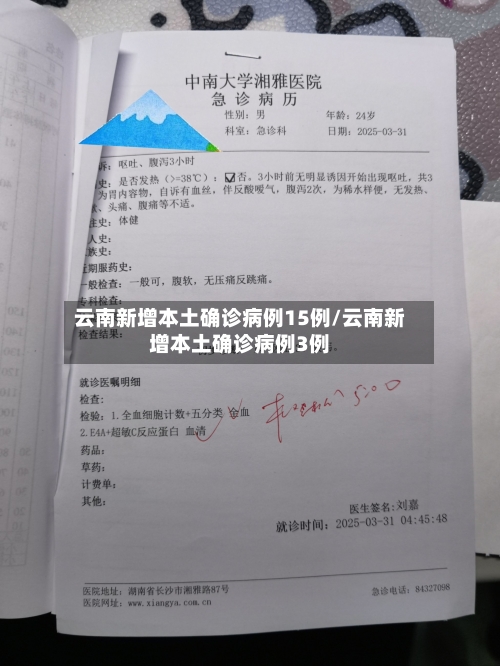 云南新增本土确诊病例15例/云南新增本土确诊病例3例-第2张图片