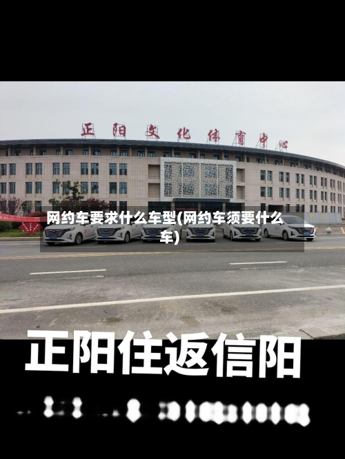 网约车要求什么车型(网约车须要什么车)