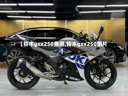 【铃木gsx250费用,铃木gsx250图片】-第3张图片
