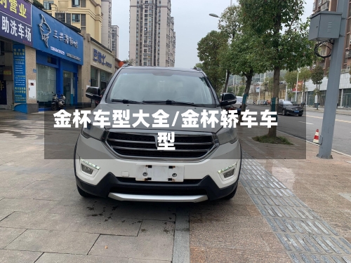 金杯车型大全/金杯轿车车型-第2张图片