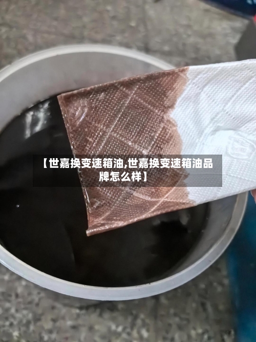 【世嘉换变速箱油,世嘉换变速箱油品牌怎么样】-第2张图片