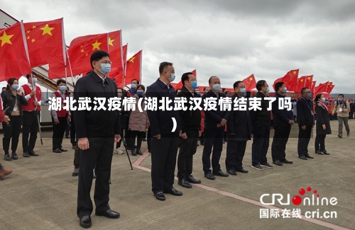 湖北武汉疫情(湖北武汉疫情结束了吗)-第2张图片
