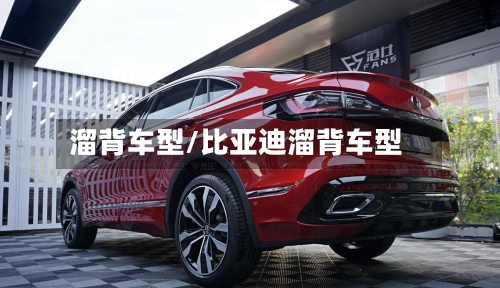 溜背车型/比亚迪溜背车型
